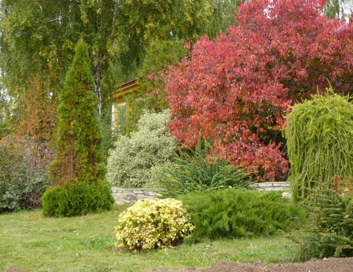 Санаторий «Варзи-Ятчи» Удмуртия